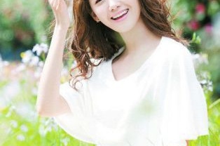 wordpress建站主題