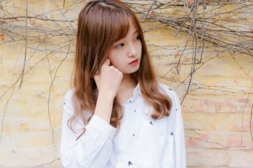 建設(shè)電子采購平臺(tái)