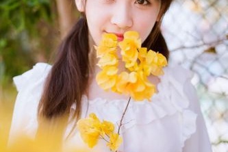 郎溪縣seo網(wǎng)站制作