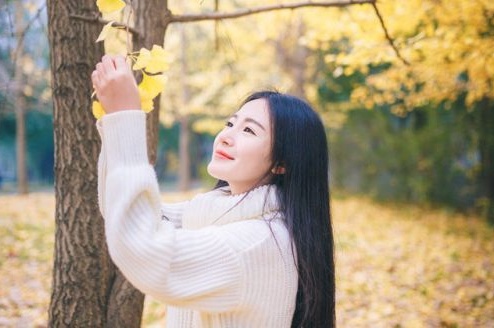 青島官網(wǎng)建設(shè)