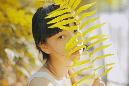 海口網(wǎng)站建設模板網(wǎng)絡公司